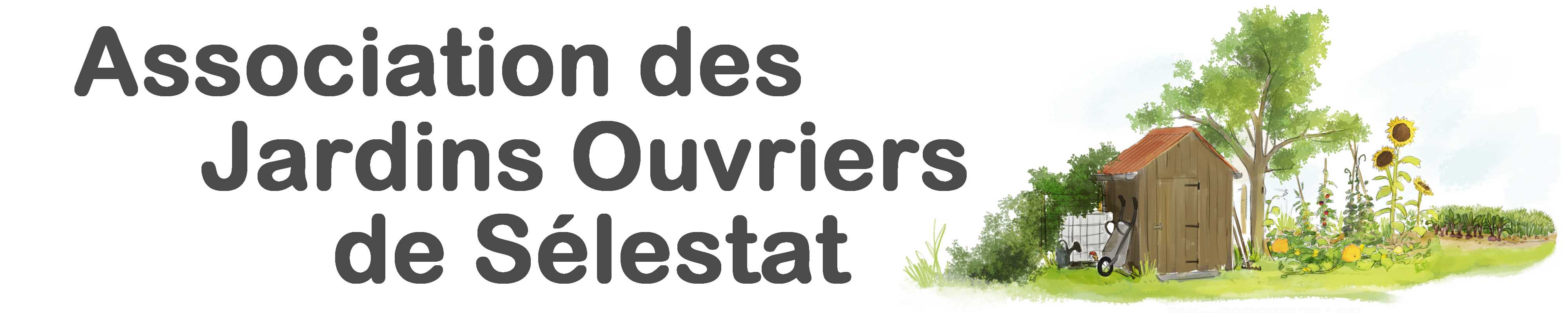 Abri jardin avec texte v6
