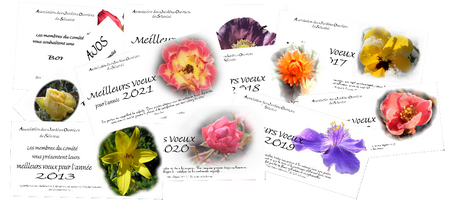 Retrospective300x134Transp