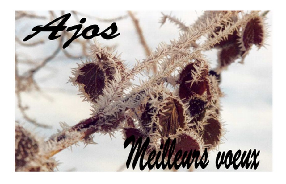 Vignette Carte voeux 2002