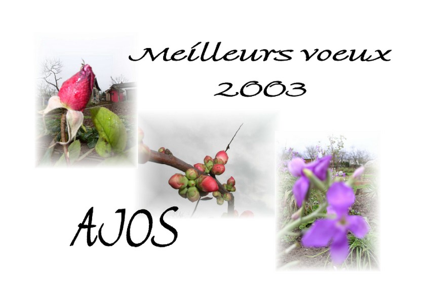 Vignette Carte voeux 2003