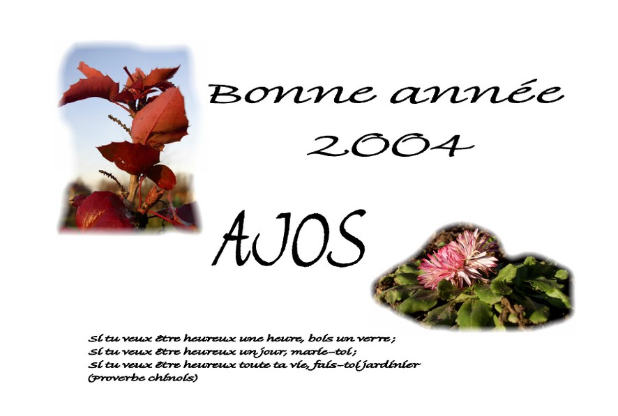 Vignette Carte voeux 2004