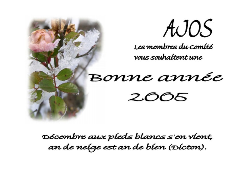 Vignette Carte voeux 2005