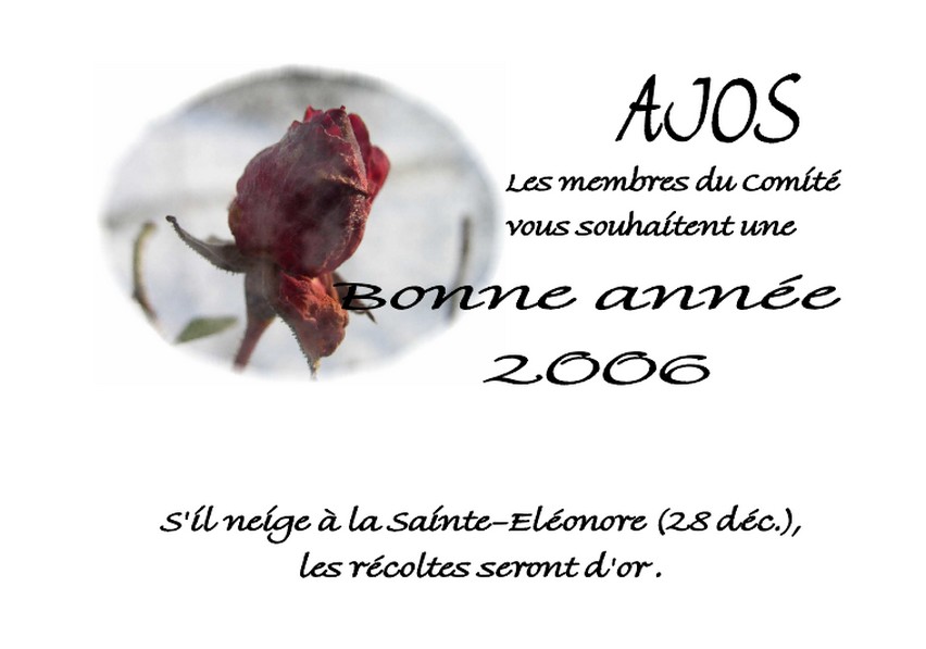 Vignette Carte voeux 2006