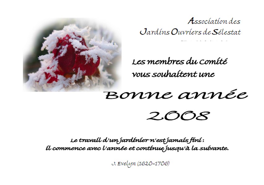 Vignette Carte voeux 2008