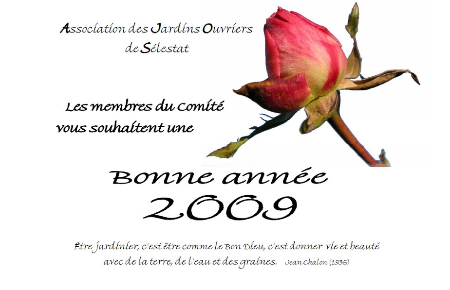 Vignette Carte voeux 2009