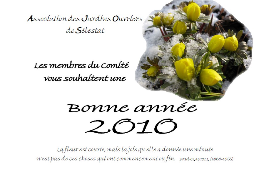 Vignette Carte voeux 2010