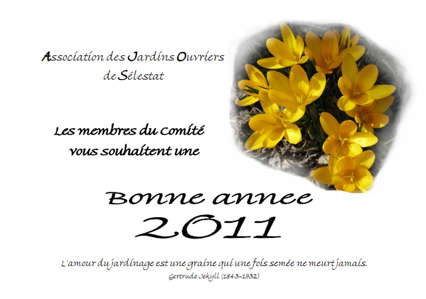 Vignette Carte voeux 2011