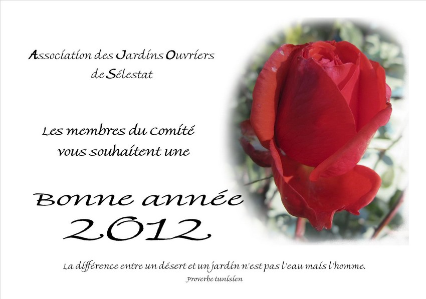 Vignette Carte voeux 2012