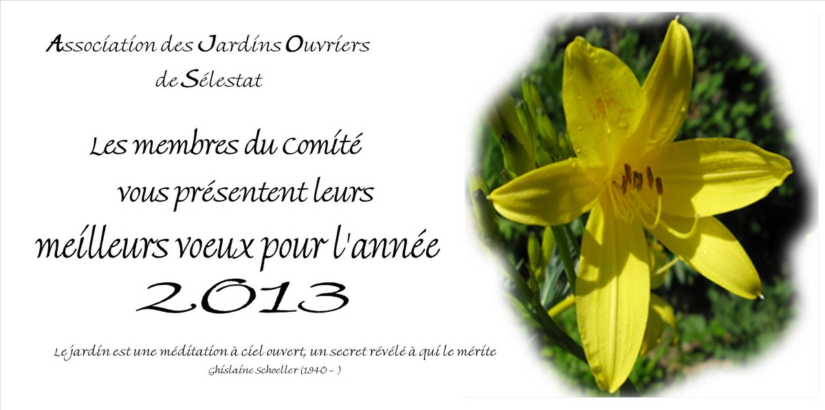 Vignette Carte voeux 2013