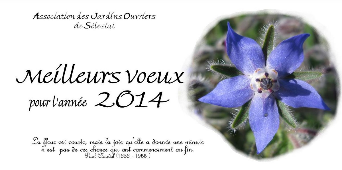 Vignette Carte voeux 2014