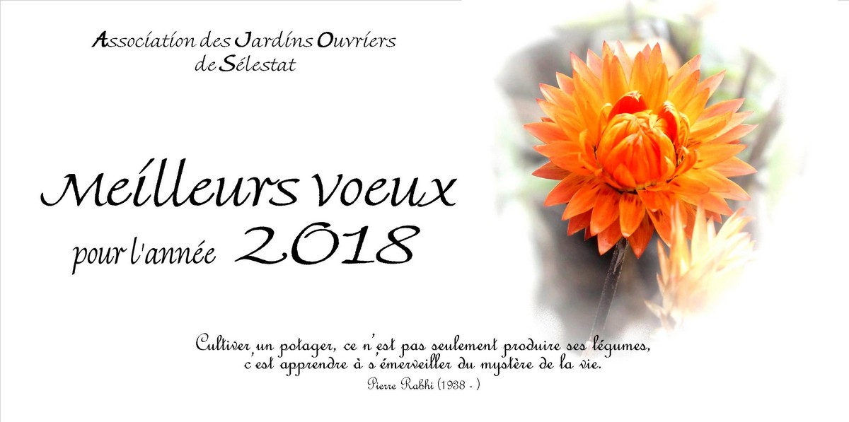Vignette Carte voeux 2018