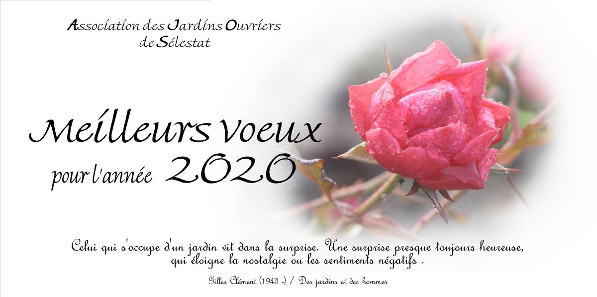 Vignette Carte voeux 2020