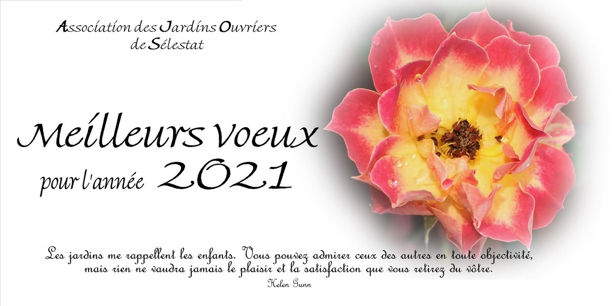 Vignette Carte voeux 2021