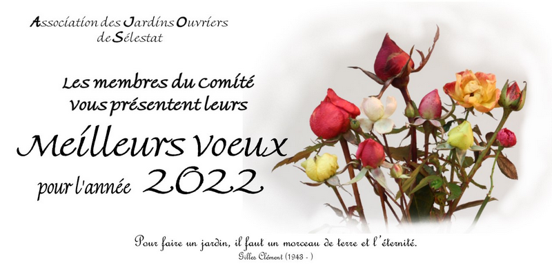 Vignette Carte voeux 2022