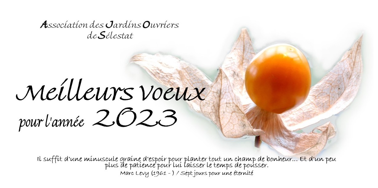 Vignette Carte voeux 2023