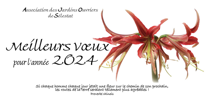Vignette Carte voeux 2024