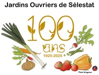 Logo 100 ans3