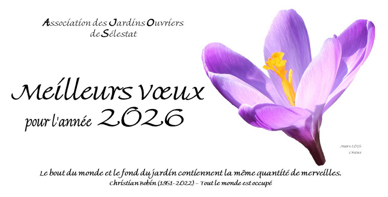 Carte voeux 2026 800x407