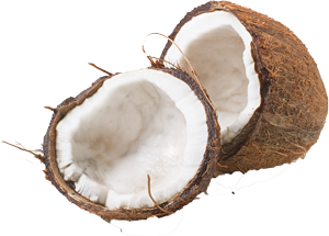 Noix de coco